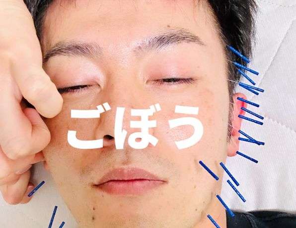 ごぼう先生の嫁の職業は?